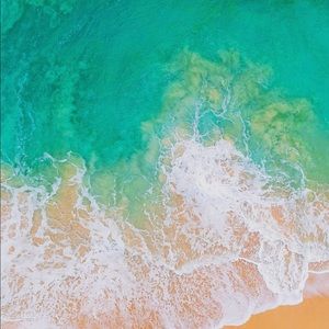 Meet your Posher, Frank